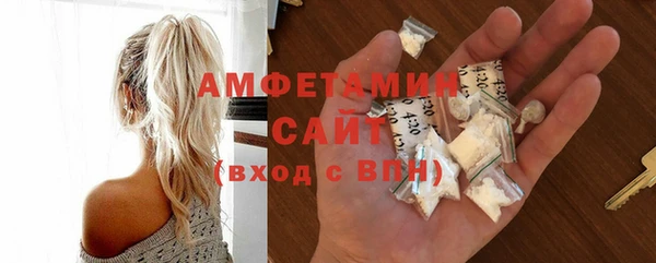 индика Новозыбков