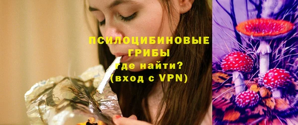 МДПВ Абаза